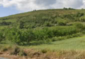 Parcela urbanizable en venta en la Autopista del Ebro, Agoncillo, ref: TR363717 foto