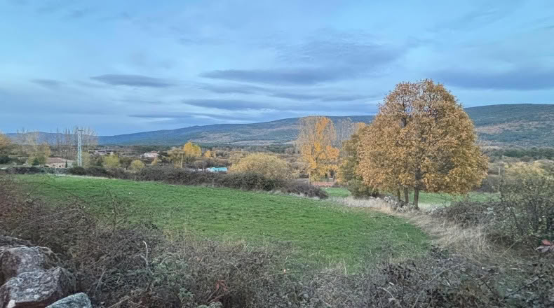 Soria - Vinuesa - 9742m2