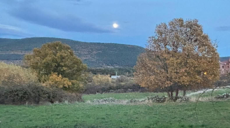 Soria - Vinuesa - 9742m2
