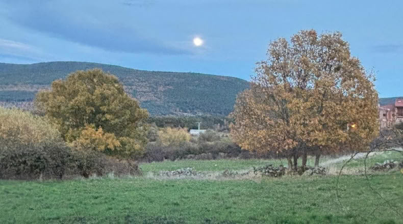 Soria - Vinuesa - 9742m2