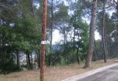 Sòl urbà en venda a la Carrer de Tarragona, Corbera de Llobregat, ref.: TR364680 foto
