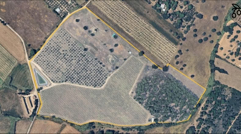 Gerona - Palau-saverdera - 200000m2