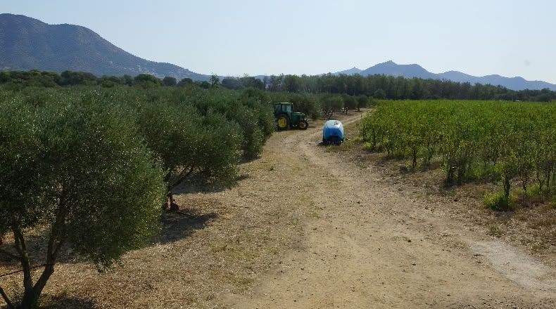 Gerona - Palau-saverdera - 200000m2