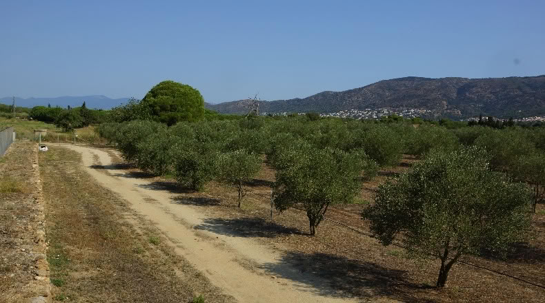 Gerona - Palau-saverdera - 200000m2