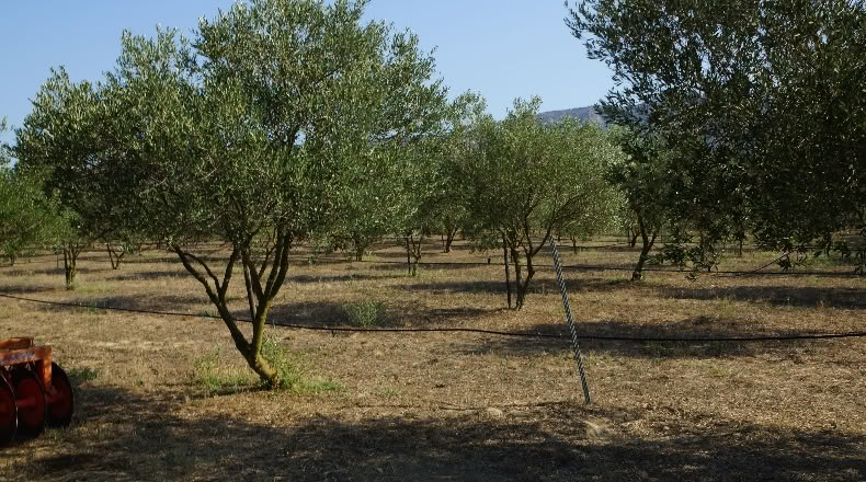 Gerona - Palau-saverdera - 200000m2