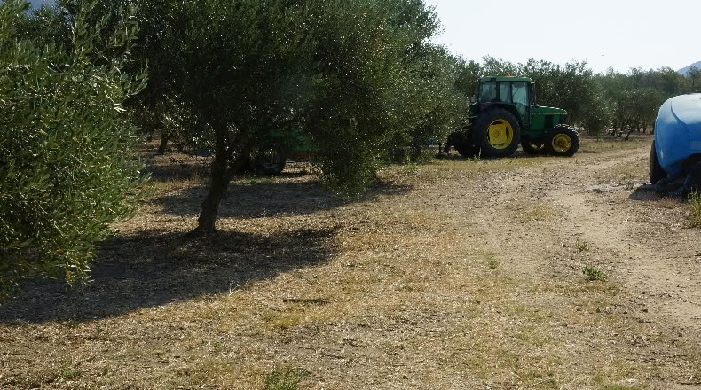 Gerona - Palau-saverdera - 200000m2