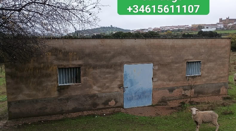 Badajoz - Higuera de Vargas - 77208m2
