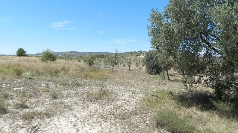Сарагоса - Faió - 176015m2