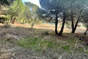 Guadarrama 1967&nbsp;m² 