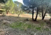 Sòl urbà en venda a la Cl Las Chaparras nº5, Guadarrama, ref.: TR365493 foto
