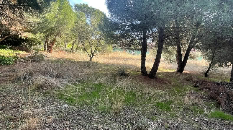 Comunidad de Madrid - Guadarrama - 1967m2