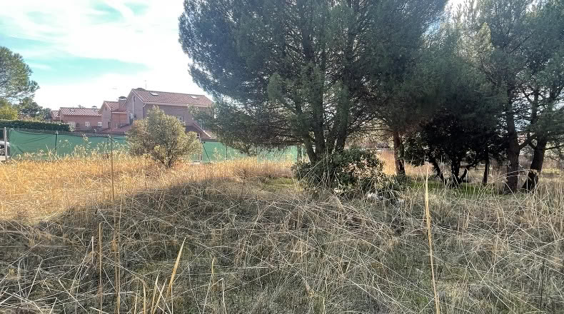 Comunidad de Madrid - Guadarrama - 1967m2