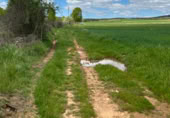 Non-developable land for sale on Calle Mayuelo, Astorga, ref: TR214866 photo