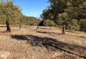 Rural estate for sale on Majadahonda, Alozaina, ref: TR365972 photo
