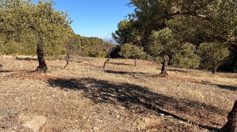 Málaga - Alozaina - 30500m2