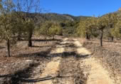 Rural estate for sale on Majadahonda, Alozaina, ref: TR365972 photo