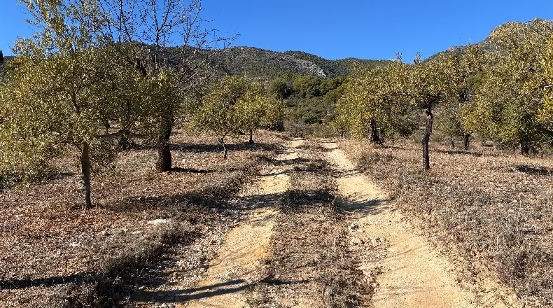 Málaga - Alozaina - 30500m2