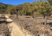 Rural estate for sale on Majadahonda, Alozaina, ref: TR365972 photo