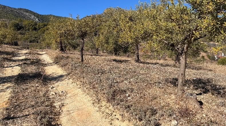 Málaga - Alozaina - 30500m2