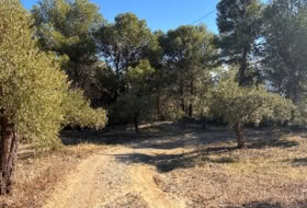 Alozaina 30500&nbsp;m² 