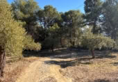 Rural estate for sale on Majadahonda, Alozaina, ref: TR365972 photo