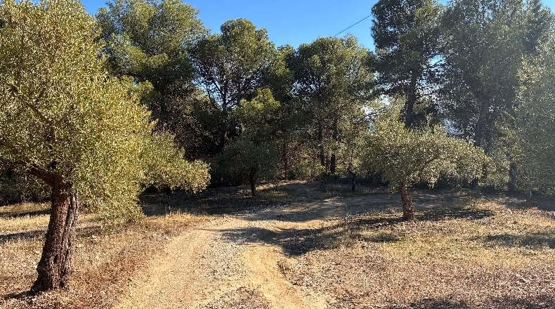 Málaga - Alozaina - 30500m2