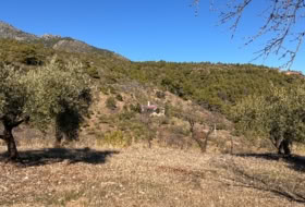 Alozaina 30500&nbsp;m² 