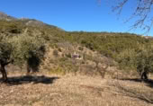 Rural estate for sale on Majadahonda, Alozaina, ref: TR365972 photo