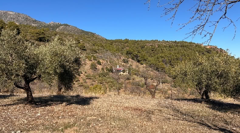 Málaga - Alozaina - 30500m2