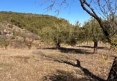 Rural estate for sale on Majadahonda, Alozaina, ref: TR365972 photo
