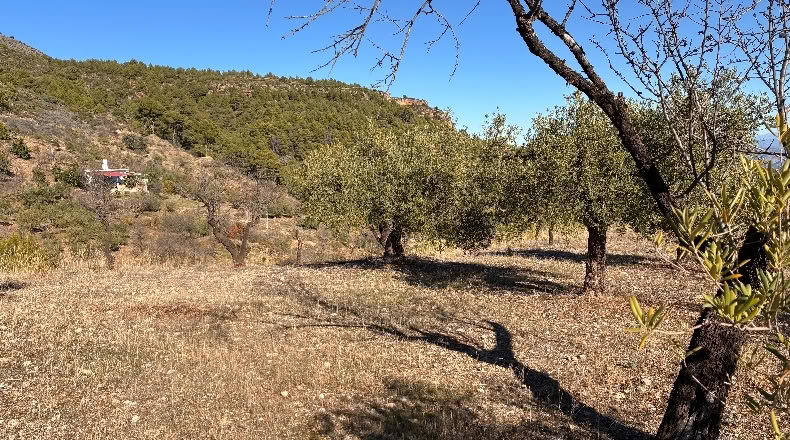 Málaga - Alozaina - 30500m2