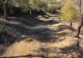 Rural estate for sale on Majadahonda, Alozaina, ref: TR365972 photo