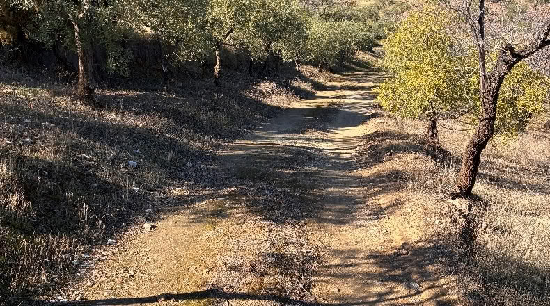 Málaga - Alozaina - 30500m2