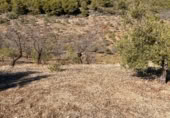 Rural estate for sale on Majadahonda, Alozaina, ref: TR365972 photo