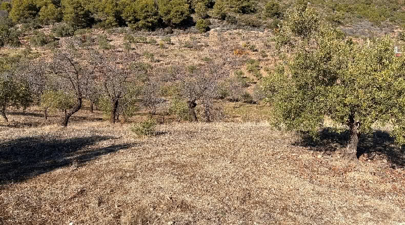 Málaga - Alozaina - 30500m2