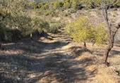 Rural estate for sale on Majadahonda, Alozaina, ref: TR365972 photo