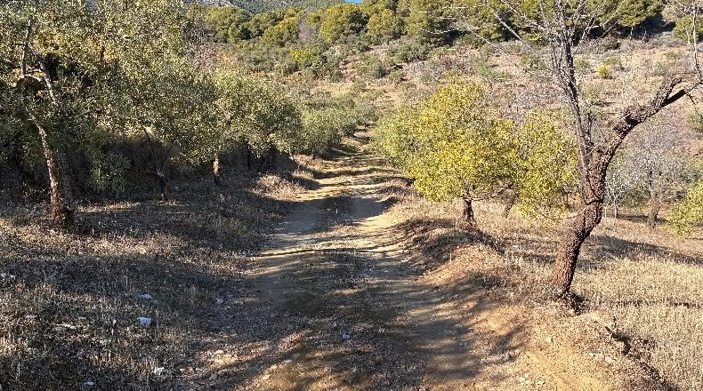 Málaga - Alozaina - 30500m2