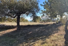 Alozaina 30500&nbsp;m² 