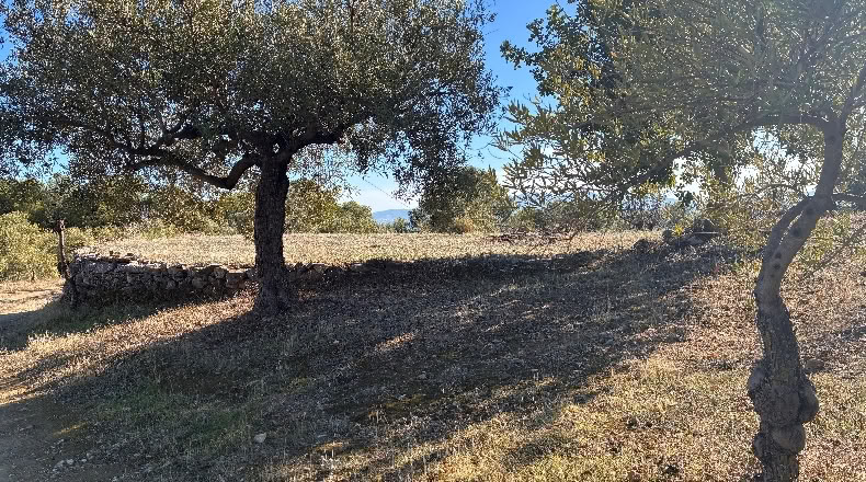 Málaga - Alozaina - 30500m2
