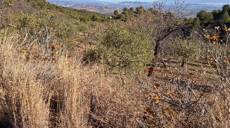 Málaga - Alozaina - 30500m2