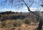 Rural estate for sale on Majadahonda, Alozaina, ref: TR365972 photo