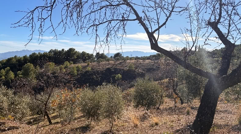 Málaga - Alozaina - 30500m2