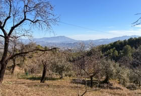 Alozaina 30500&nbsp;m² 