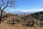 Rural estate for sale on Majadahonda, Alozaina, ref: TR365972 photo