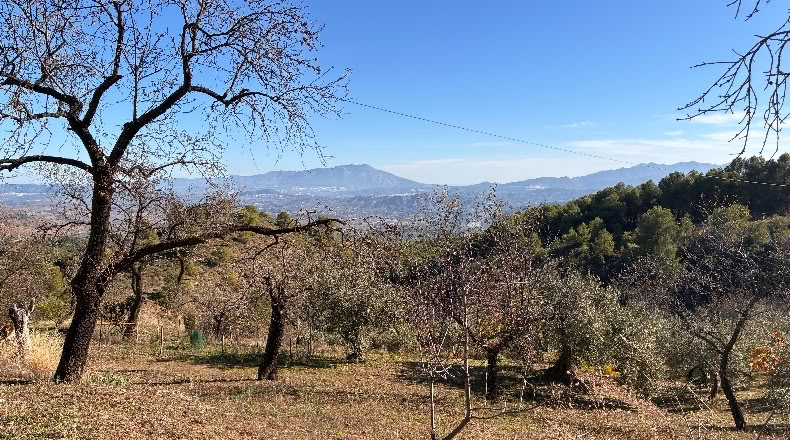 Málaga - Alozaina - 30500m2