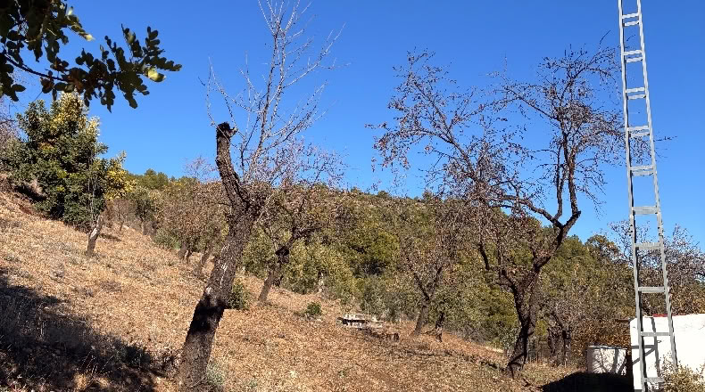 Málaga - Alozaina - 30500m2