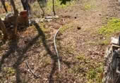 Rural estate for sale on Majadahonda, Alozaina, ref: TR365972 photo