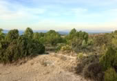 Terreno no urbanizable en venta en la Sierra Baja, Zucaina, ref: TR365969 foto