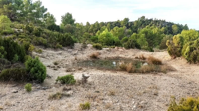 Castellón - Zucaina - 25000m2