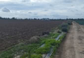 Casa de campo con terreno en venta en la Prolongación Los Vallejos, Los Alcázares, ref: TR340717 foto